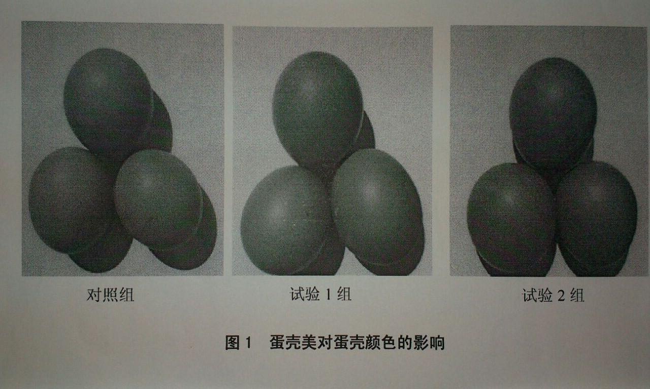 首页| beat365中国区唯一官网