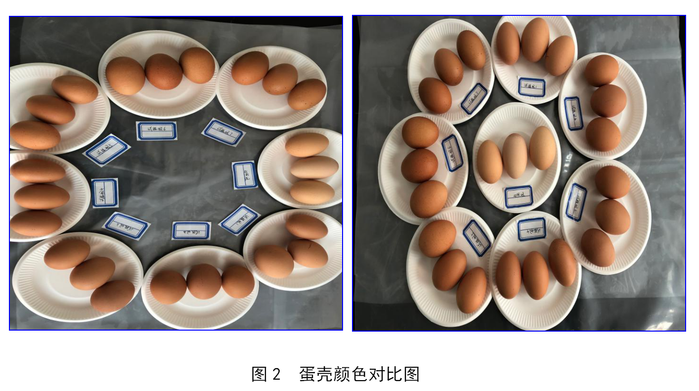 首页| beat365中国区唯一官网