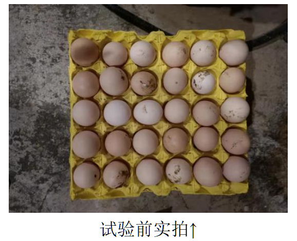 首页| beat365中国区唯一官网