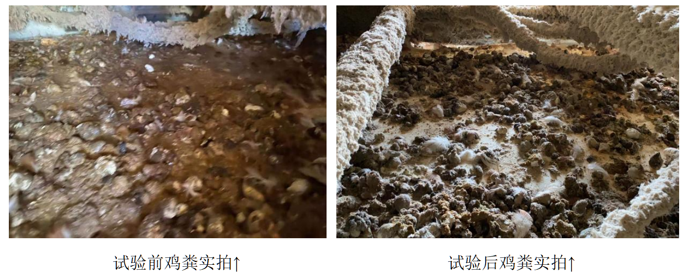 首页| beat365中国区唯一官网