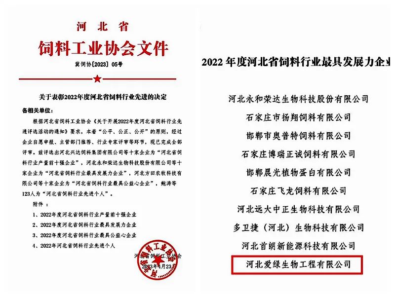 首页| beat365中国区唯一官网